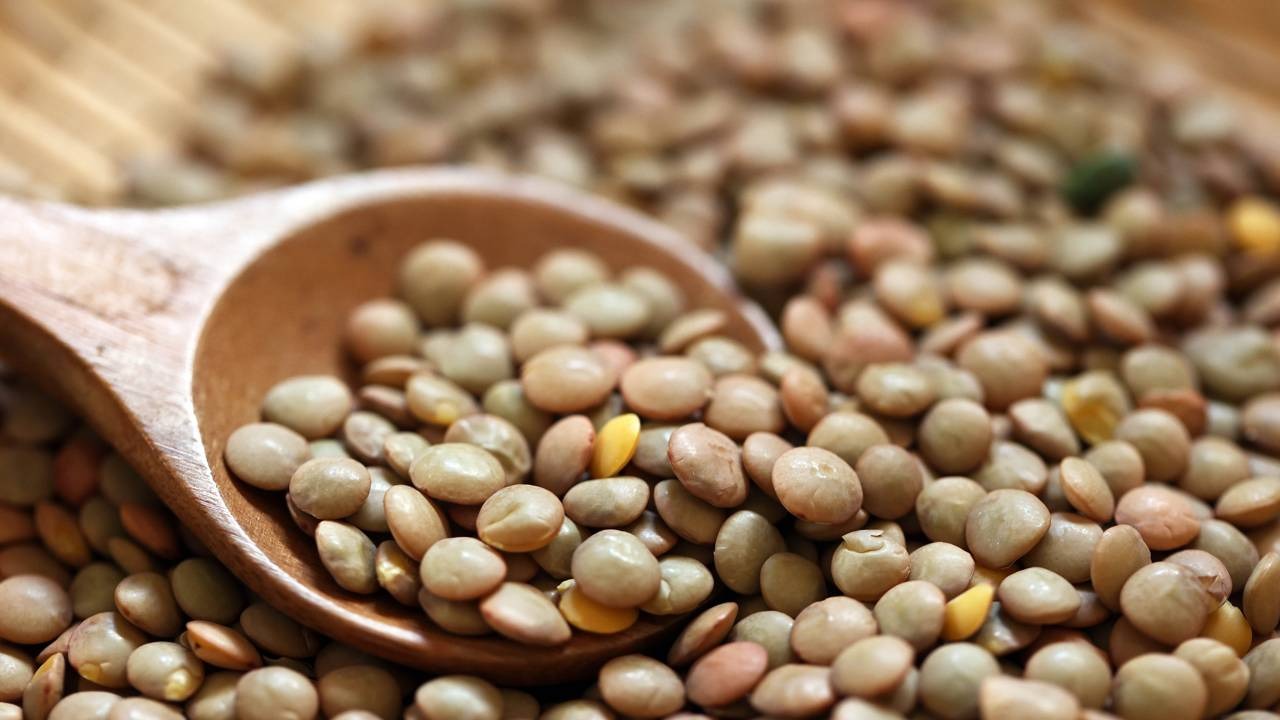 Grãos de lentilhas Lentilhas marrons e algumas amarelas em uma colher de pau e espalhadas em uma superfície de madeira