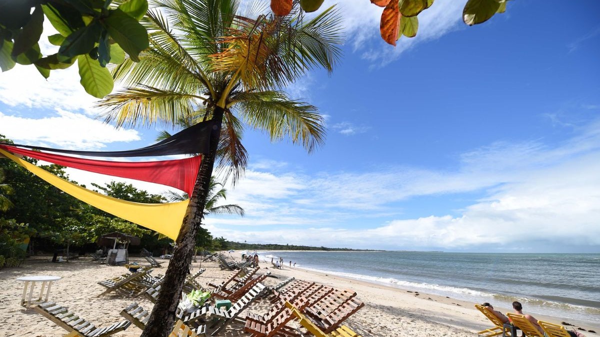 Praia com coqueiro decorado, cadeiras de madeira, areia branca, oceano e céu azul claro.