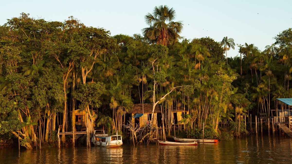 Casas de madeira entre floresta densa e rio com barcos, sob luz dourada ao entardecer.