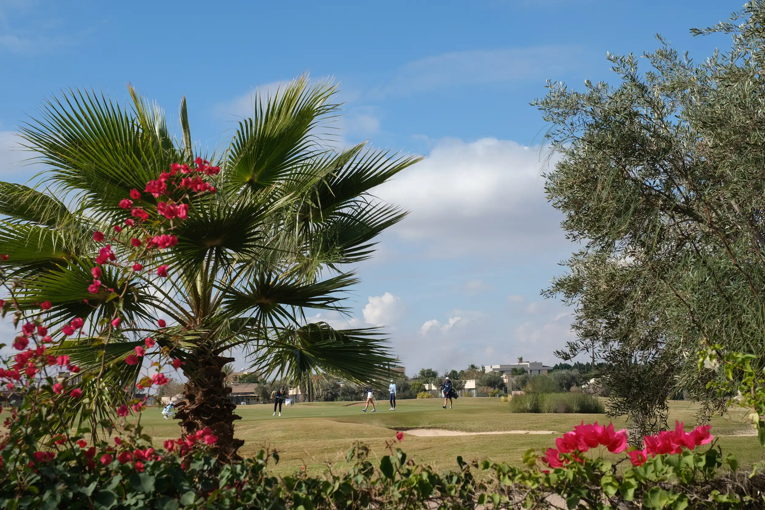 Villa al-maaden Image 59