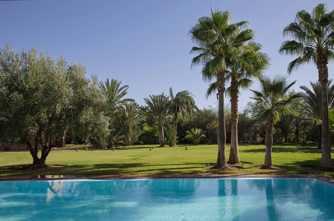 Villa alouna Image 12