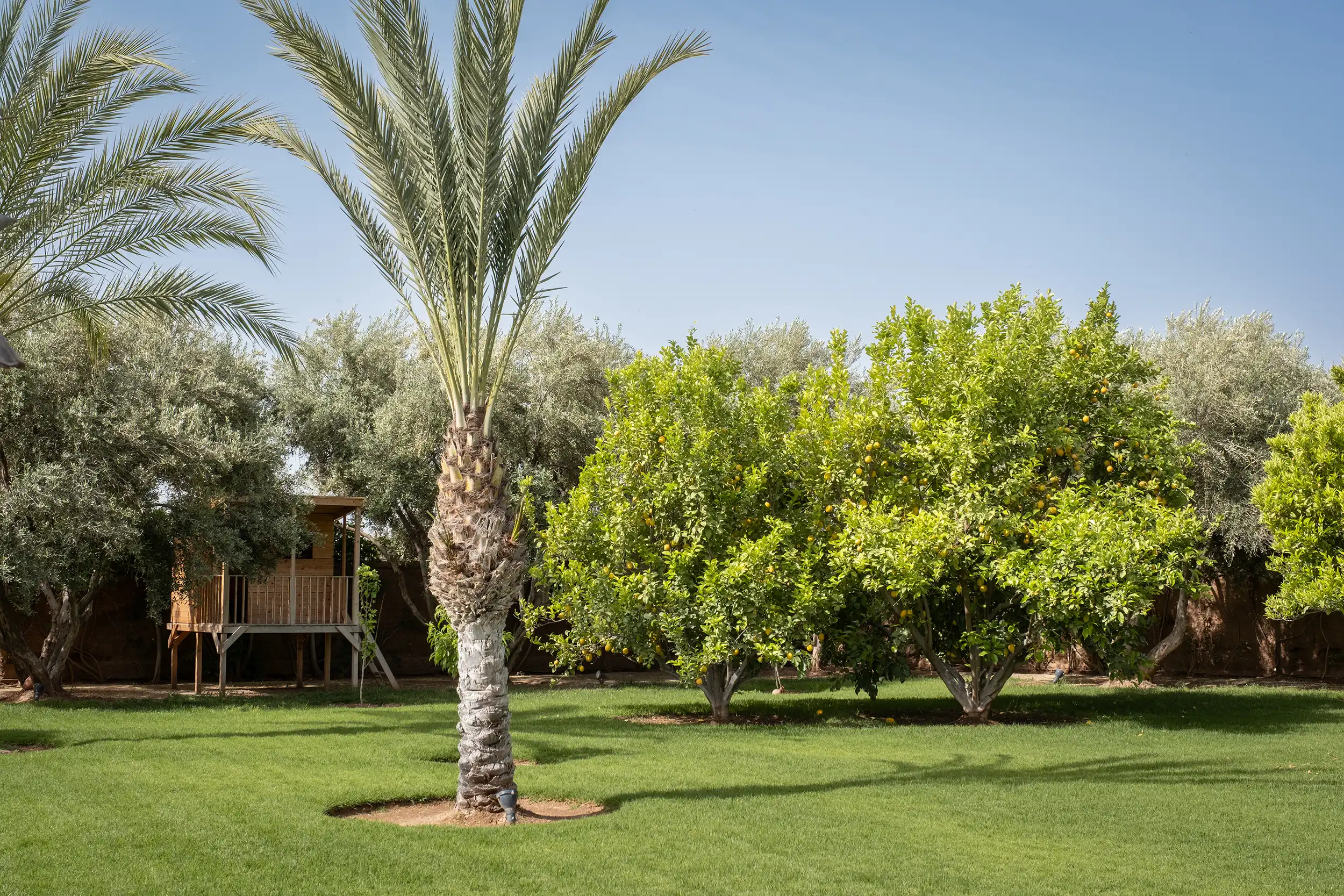 Villa chocolat Image 126