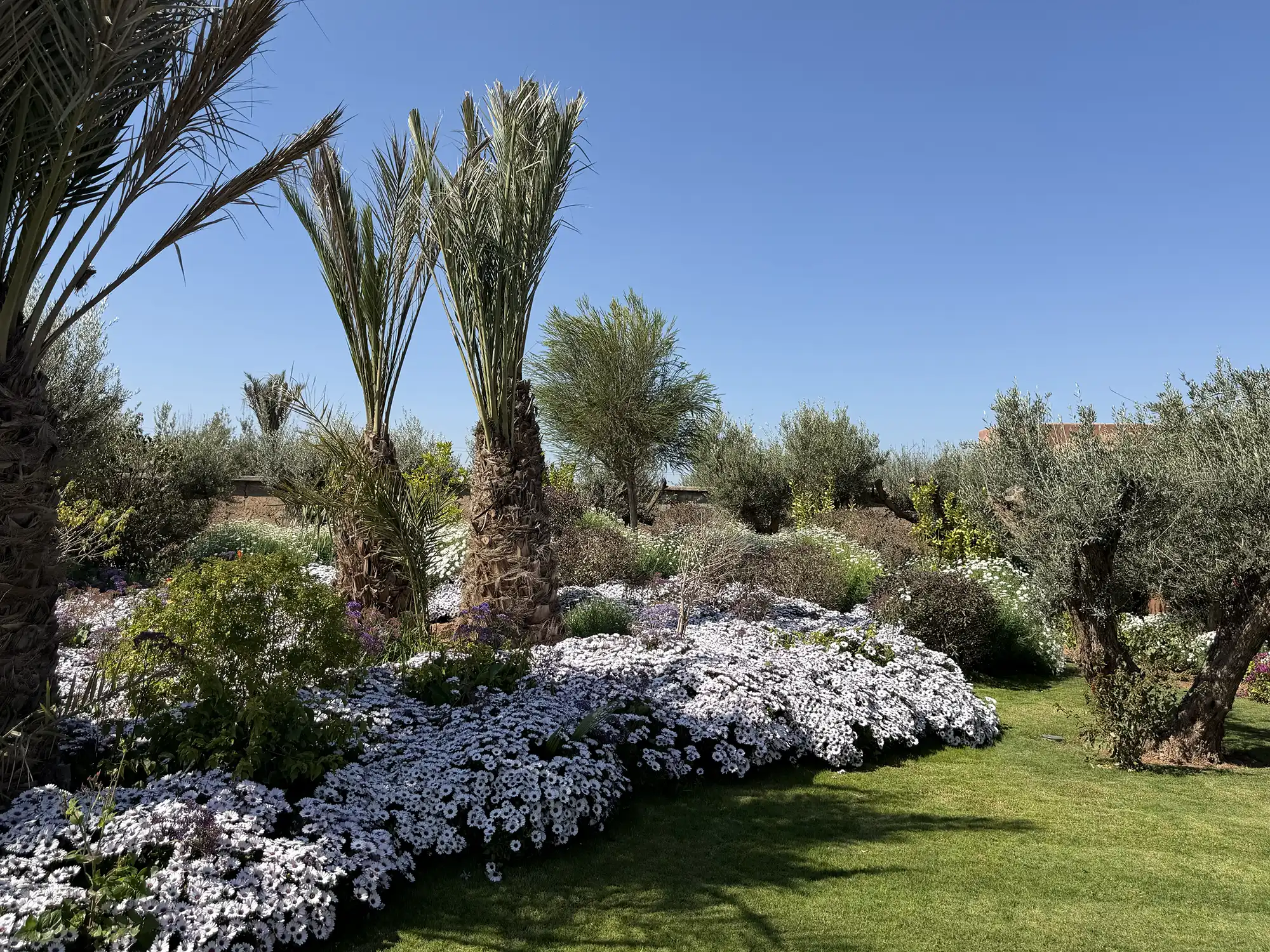 Villa mandi5 Image 113