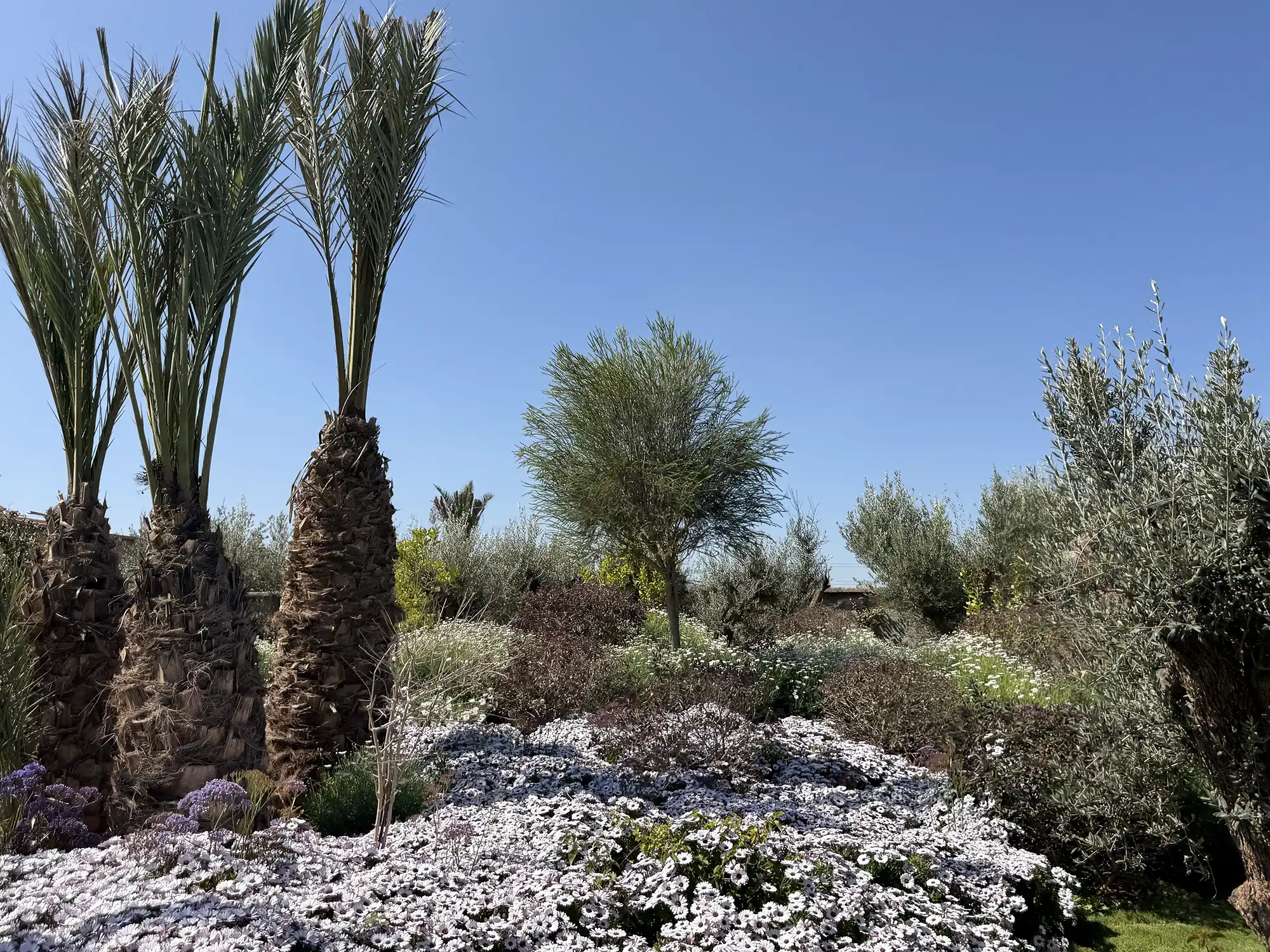 Villa mandi5 Image 114