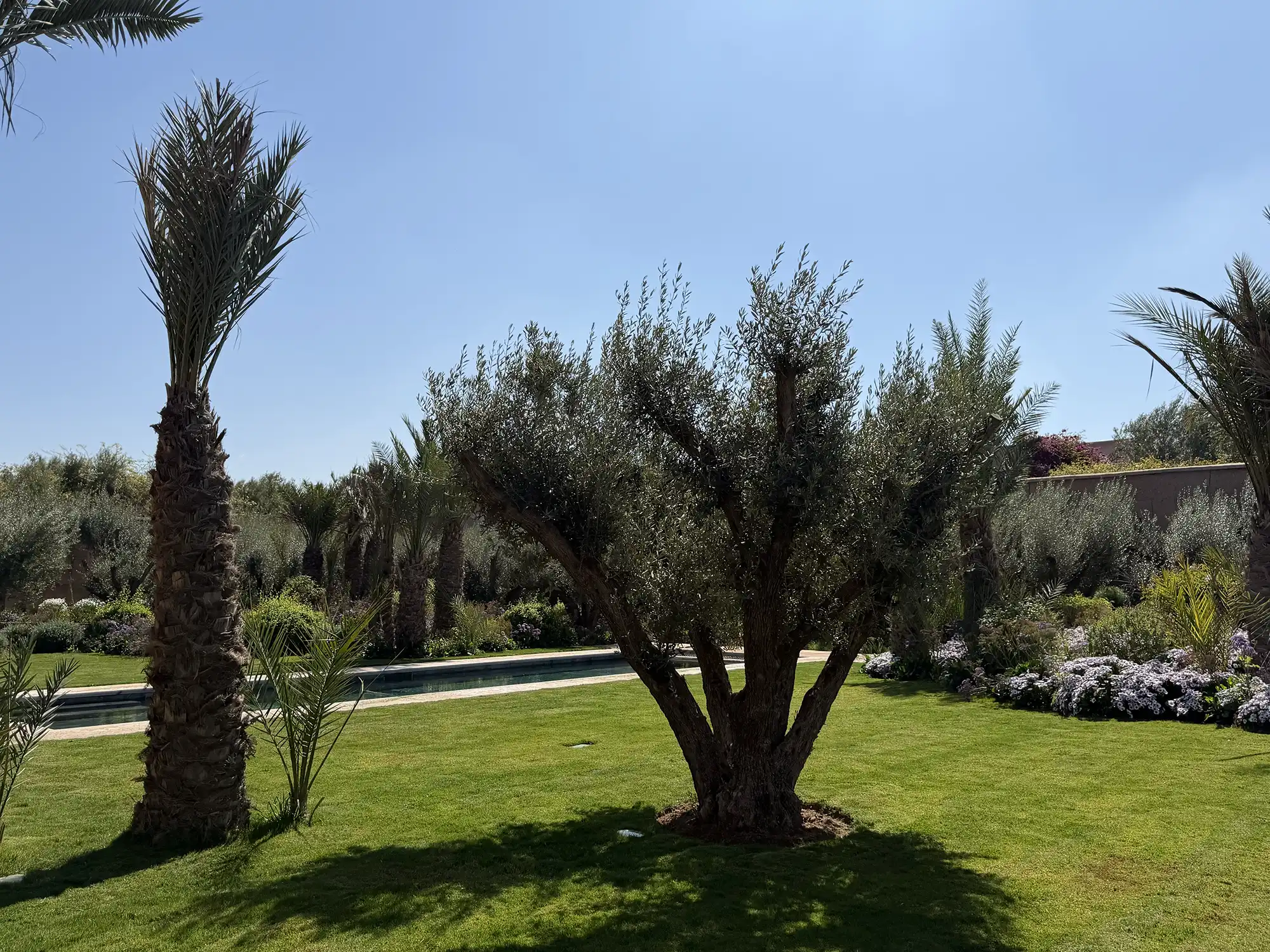 Villa mandi5 Image 115