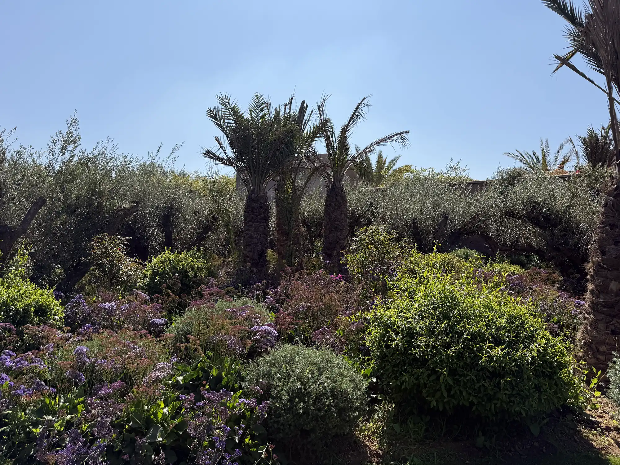 Villa mandi5 Image 12