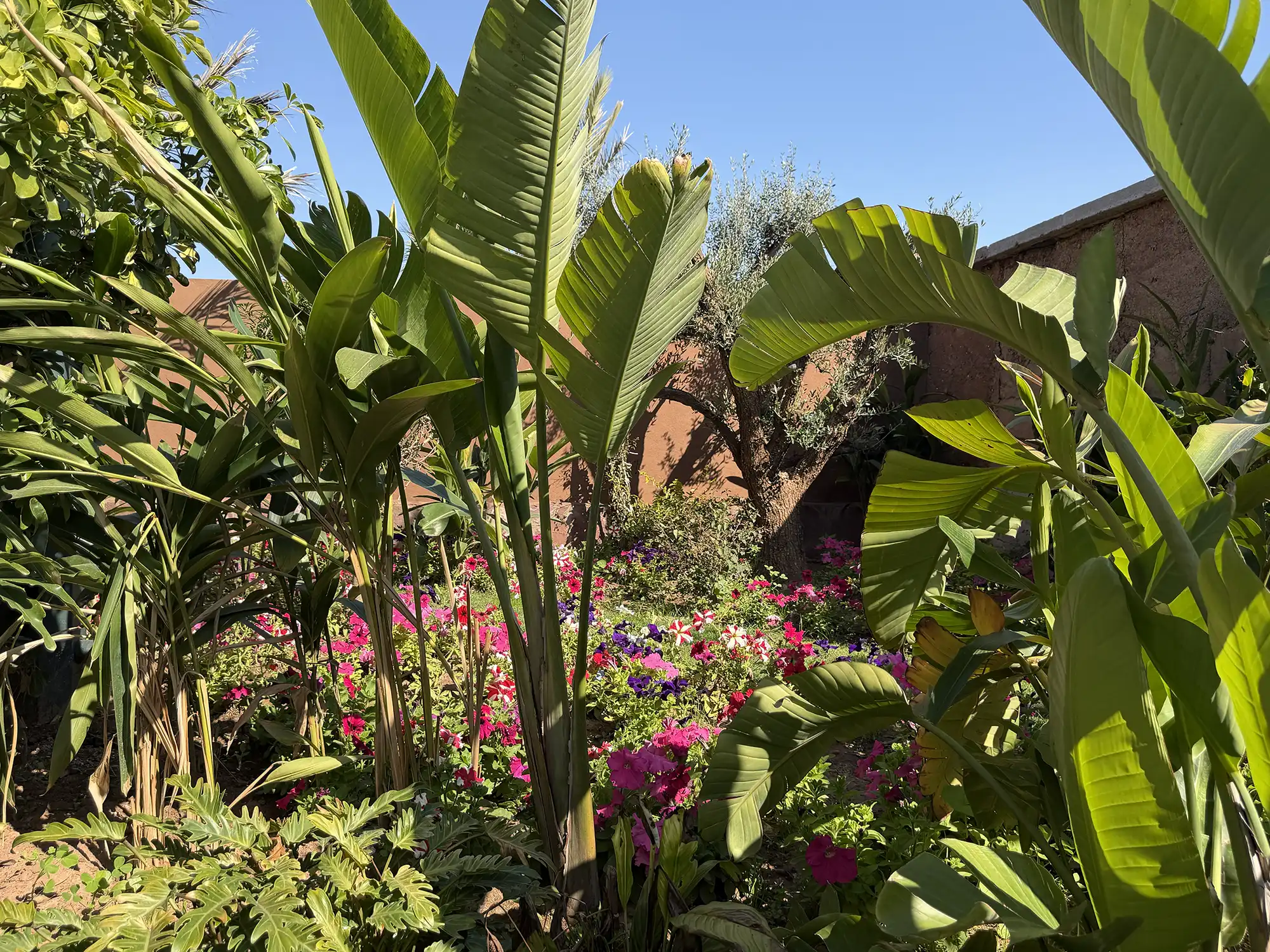 Villa mandi6 Image 80