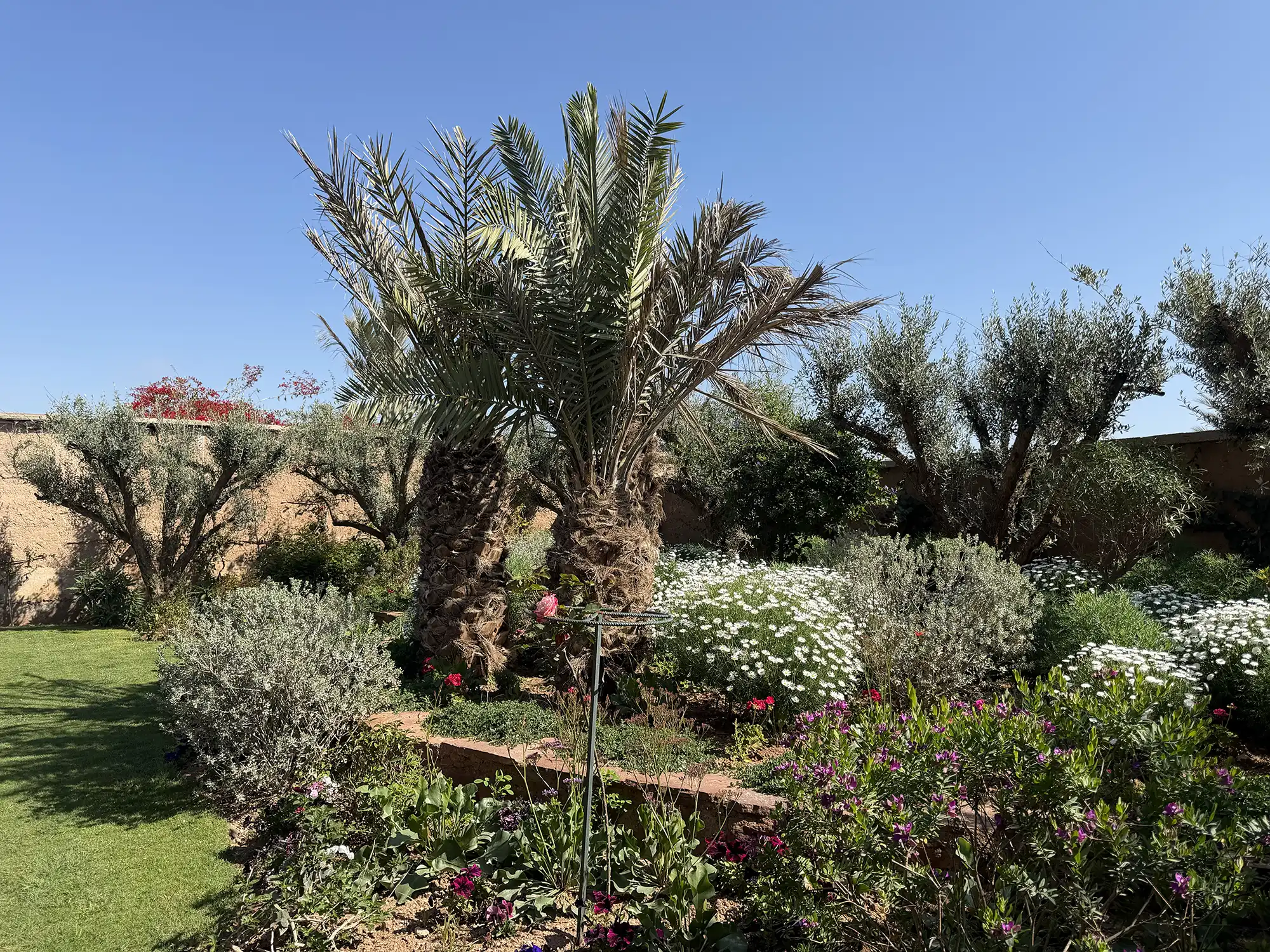 Villa mandi6 Image 98