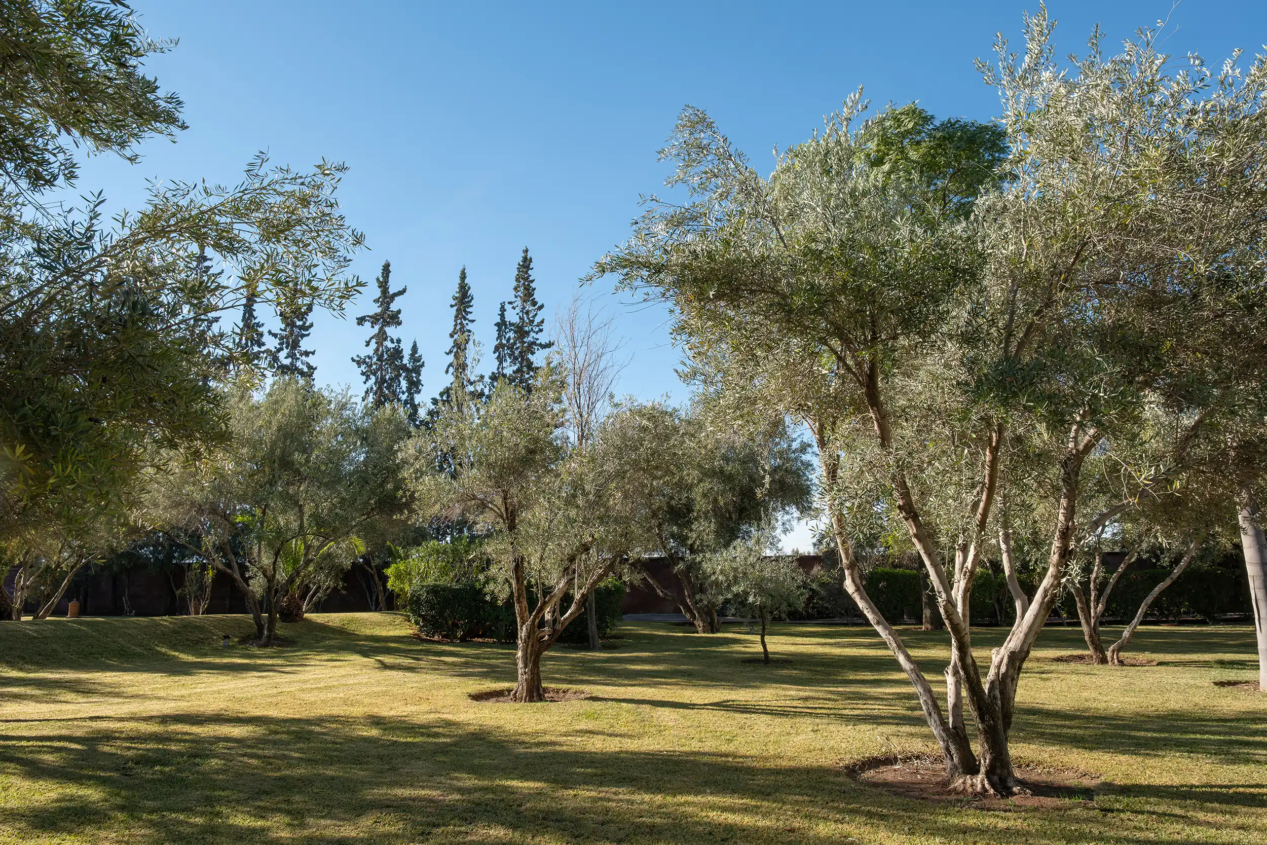 Villa Neylla Image 19