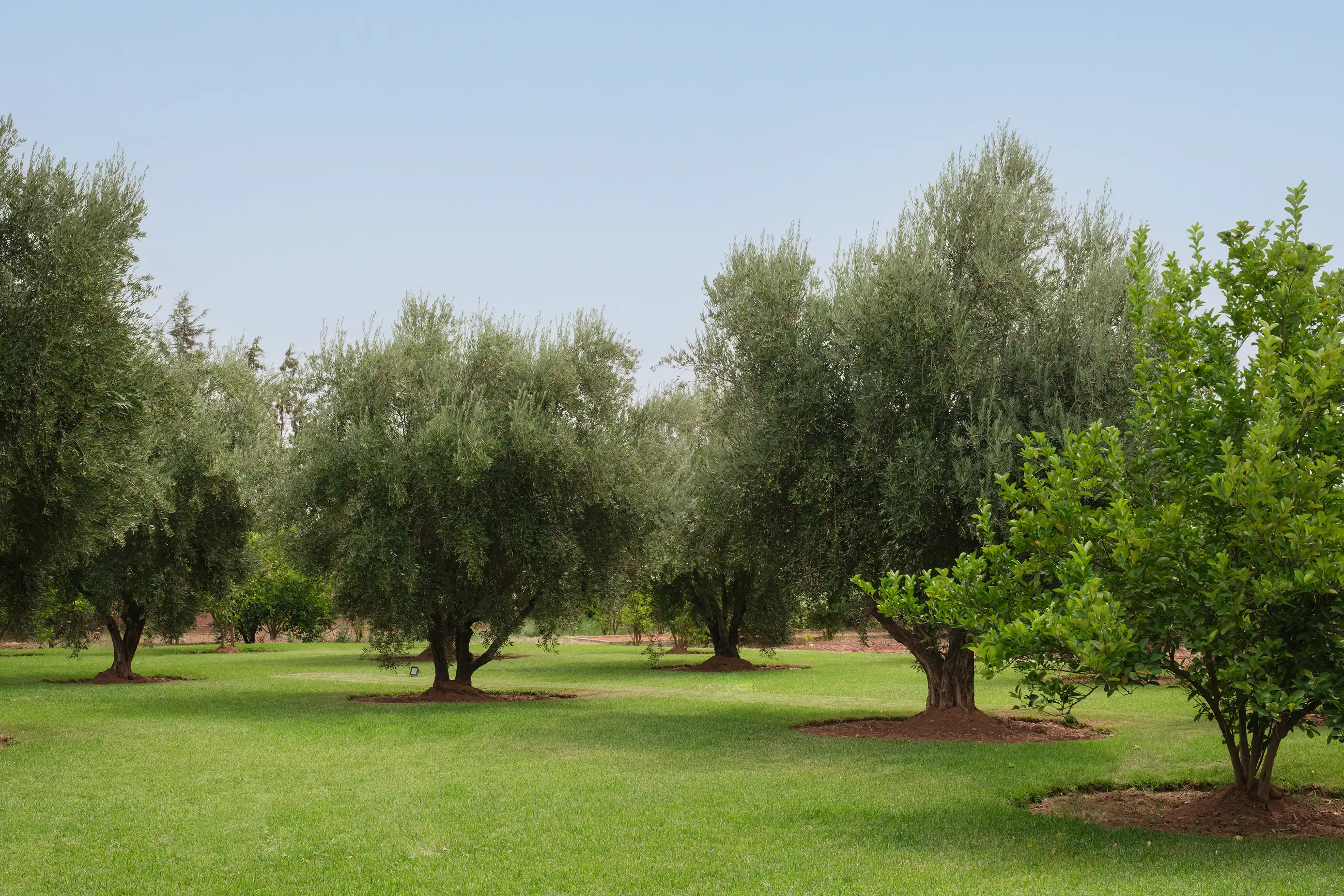 Villa salamouni Image 72