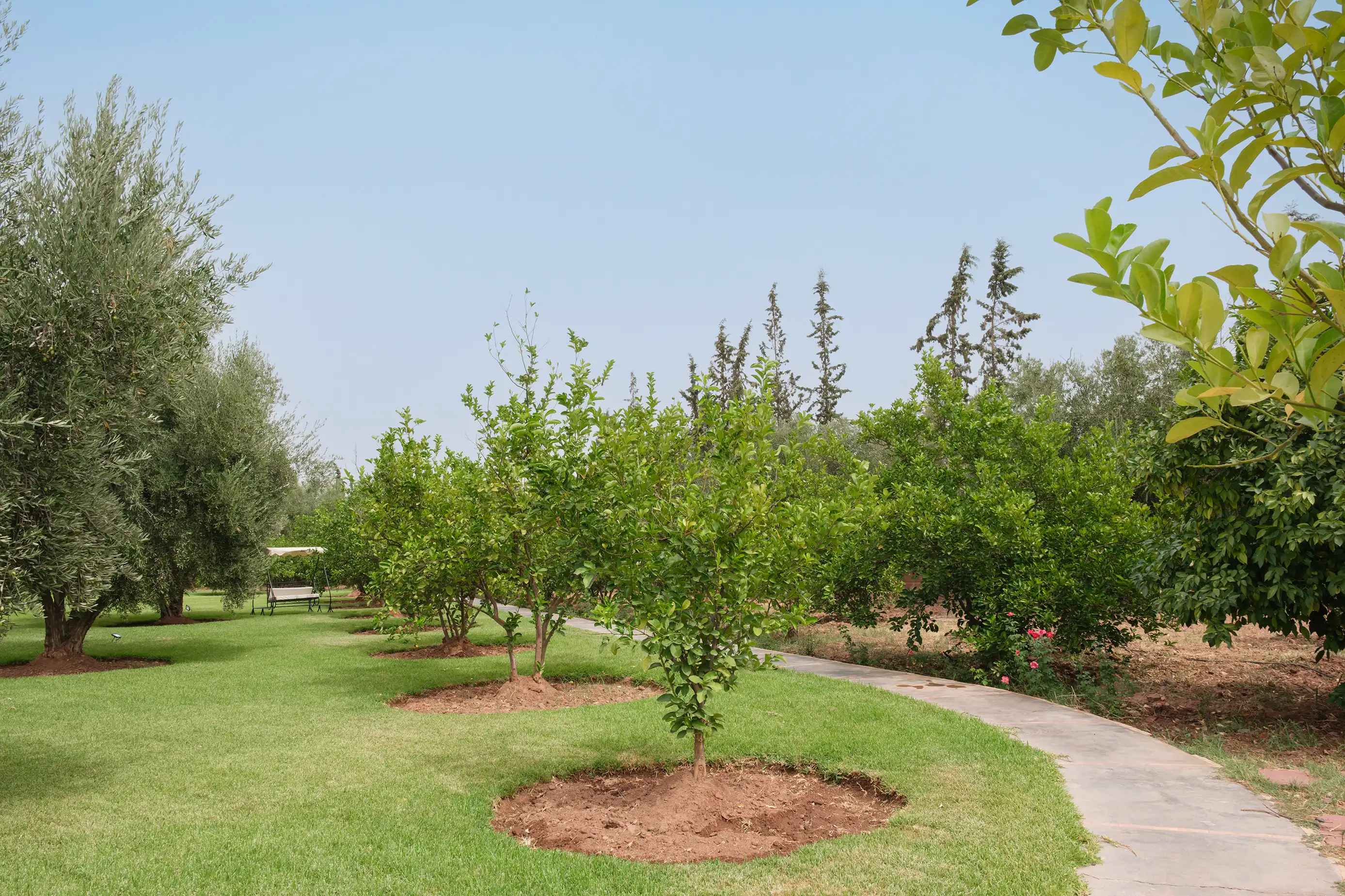 Villa salamouni Image 73