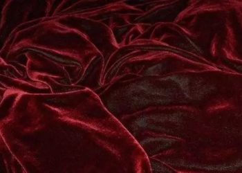 【天鵝絨分叉】新的分叉方式試圖讓加密貨幣沒有升級爭議