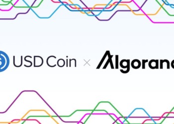 里程碑》穩定幣 USDC 邁出「以太坊時代」！將在 Algorand 區塊鏈上發行