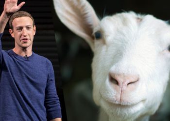 祖克伯臉書曬寵物山羊「取名 Max 跟 Bitcoin 」，幣圈爭相解讀熱議！