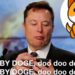 馬斯克兒歌發功！推特唱「寶貝狗幣Baby Doge」，6小時暴漲130%