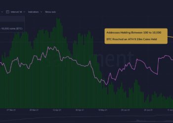 比特幣「17 億美元選擇權」將到期，有利多方！巨鯨持 919 萬 BTC 創歷史新高