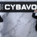 加密貨幣託管商CYBAVO完成400萬美元融資，500 Startups共同領投