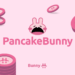 BSC | Qubit、PancakeBunny 團隊 Mound 破產！經營權移交 DAO 自主管理