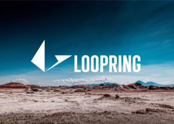 幣圈爆離職潮｜路印協議創辦人：我撤了，項目將由新CEO負責；Opyn核心工程師Anton Cheng離職