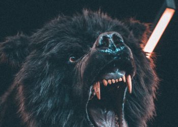 老幣圈人的「熊市生存」指南：何時復甦？下輪主流敘事會是什麼？