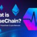 行銷鬼才Richard再創業,PulseChain為何能一週5億鎂TVL
