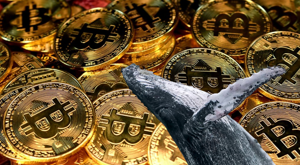 比特幣巨鯨「教你抄底」，去年加倉3.8萬枚，近期出售暴賺4億鎂