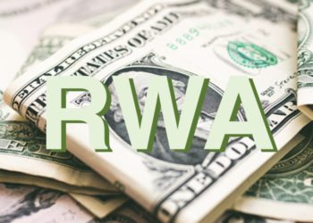 RWA商機大》讀懂兩種「現實世界資產」發行模式