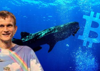 大行情來了？V神向交易所轉入千萬枚USDC、巨鯨槓桿買入逾1.3萬枚stETH