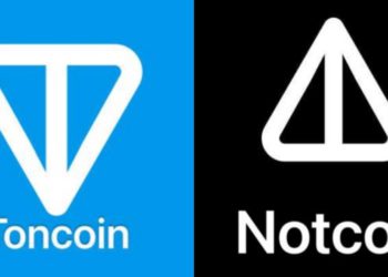 教學》TON手機挖礦遊戲「Notcoin」怎麼玩？已有47萬玩家在線