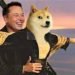 馬斯克回應Doge社群：我最愛的加密貨幣是狗狗幣、我有很多！
