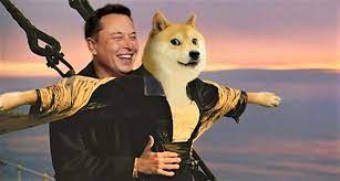 馬斯克回應Doge社群：我最愛的加密貨幣是狗狗幣、我有很多！