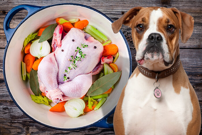 is chicken broth safe for dogs