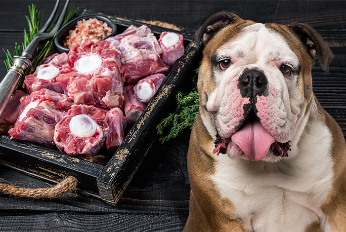 are bison bones safe for dogs