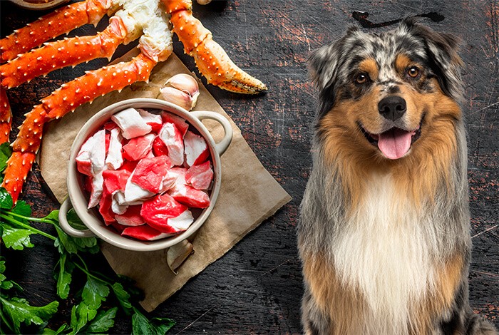 are raw crab bad for dogs