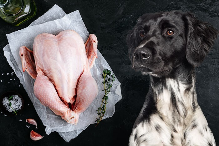 are cooked chicken necks safe for dogs