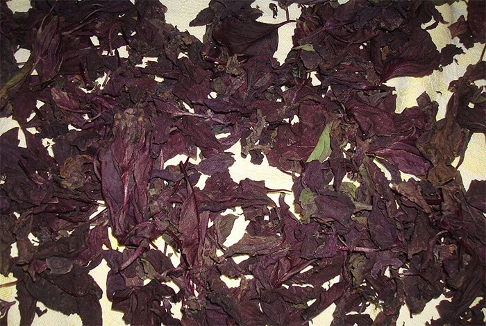 Dried basil scattered on a white surface.