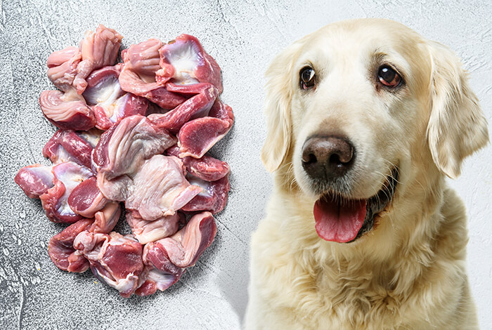 chicken offal for dogs