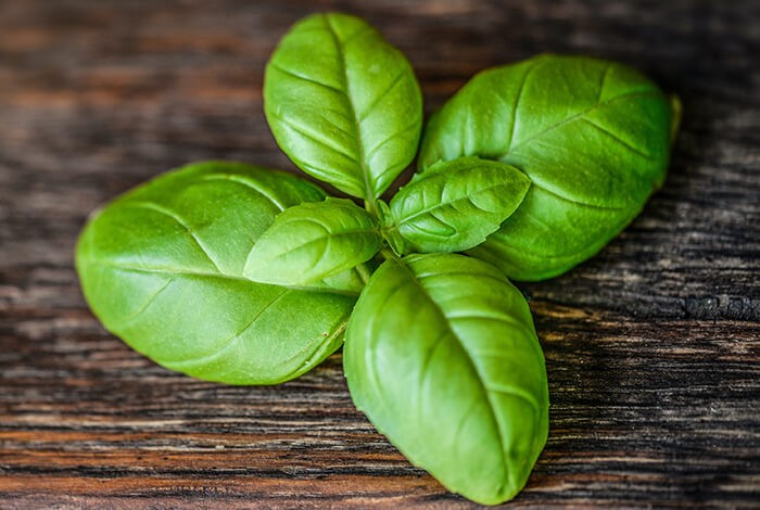 A bunch of sweet basil leaves on a wooden surface.