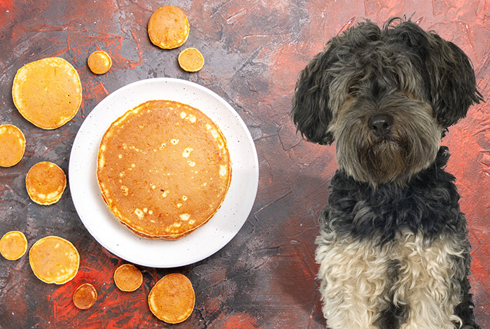 Can Dogs Eat Pancakes?