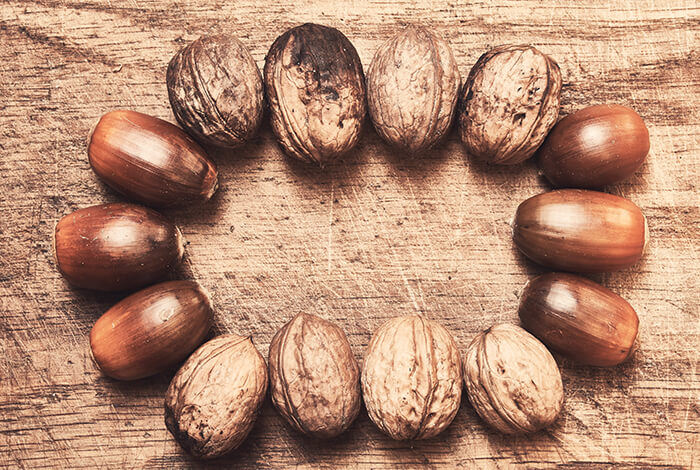 Acorns lined up in a circle.