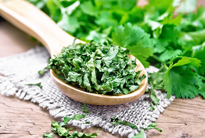 A spoon filled with dried cilantro.