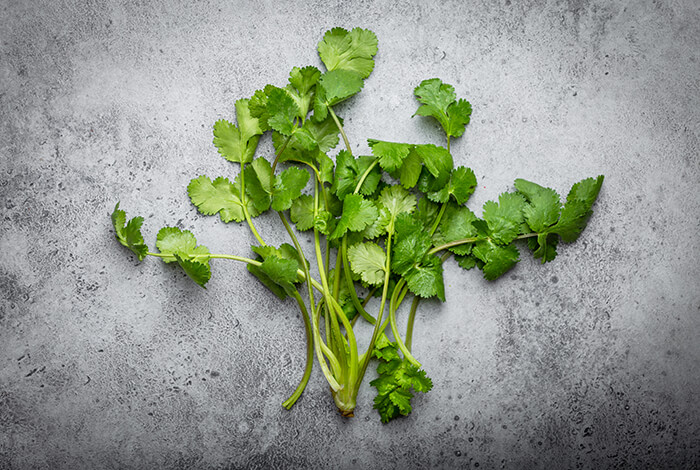 A bunch of cilantro.