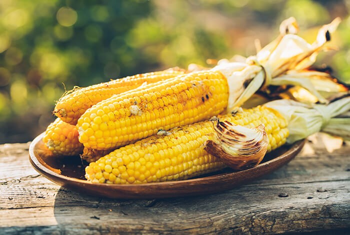 Ears of seasoned cooked corn on a plate.