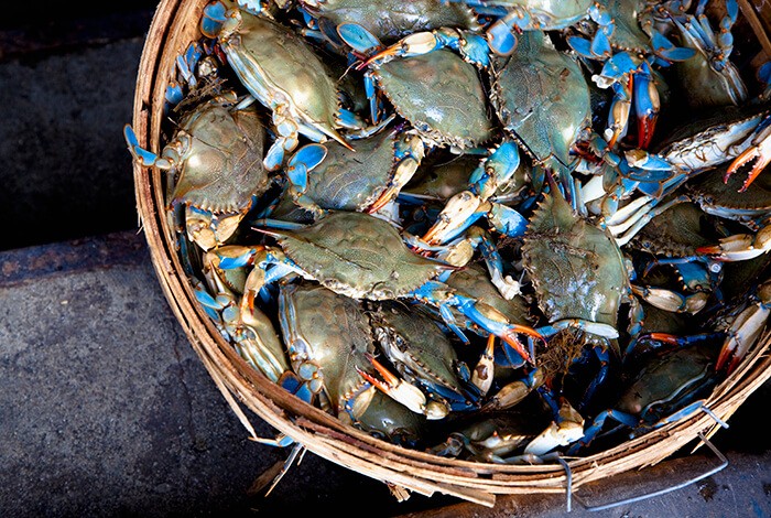 Fresh crabs placed in a big native basket.