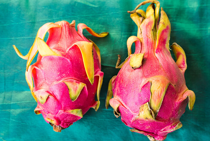 Two pieces of dragonfruit for dogs.