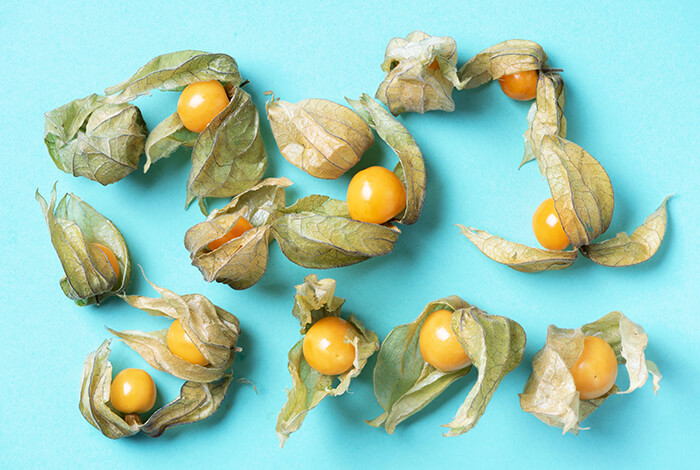 Ground cherries spread out on a smooth surface.