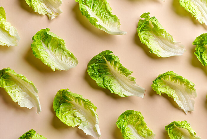 Lettuces spread out on a surface.