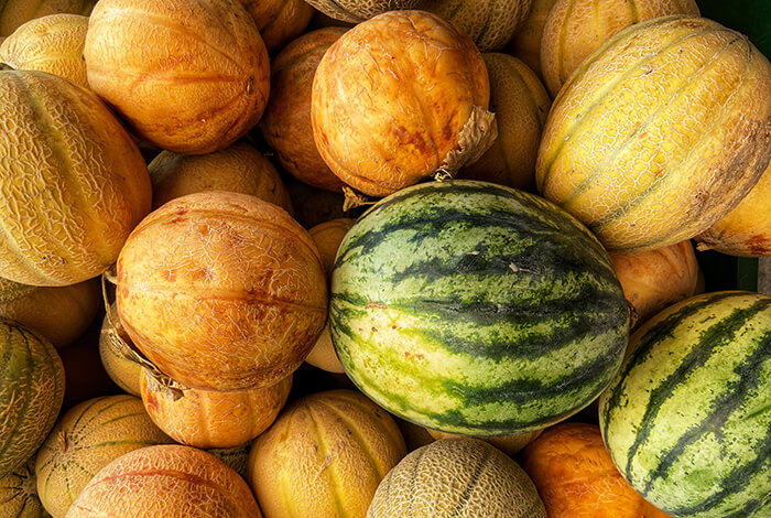 Different sizes of ripe melons for dogs.