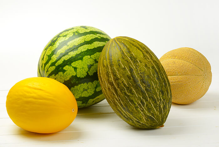 Different types of melons that dogs can eat.

