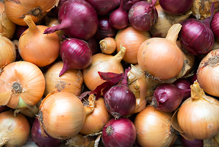 A closeup look at white and red onions.